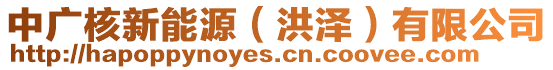 中廣核新能源(洪澤)有限公司