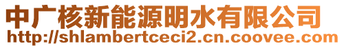 中廣核新能源明水有限公司