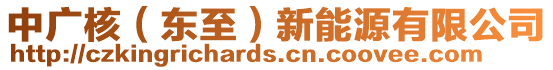 中廣核（東至）新能源有限公司