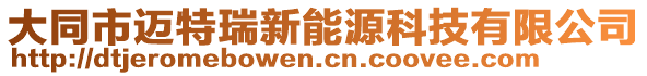 大同市邁特瑞新能源科技有限公司