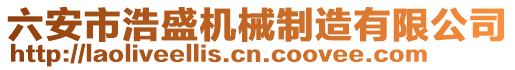 六安市浩盛機械制造有限公司