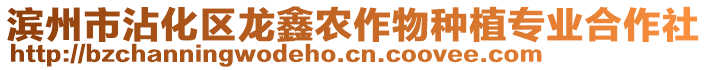 濱州市沾化區(qū)龍?chǎng)无r(nóng)作物種植專業(yè)合作社