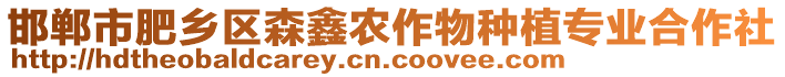 邯鄲市肥鄉區森鑫農作物種植專業合作社