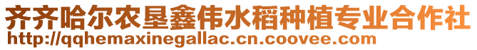 齊齊哈爾農(nóng)墾鑫偉水稻種植專業(yè)合作社