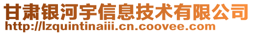 甘肅銀河宇信息技術有限公司