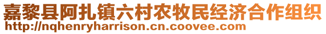 嘉黎县阿扎镇六村农牧民经济合作组织