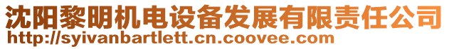 沈陽黎明機(jī)電設(shè)備發(fā)展有限責(zé)任公司