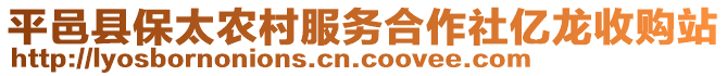 平邑縣保太農(nóng)村服務(wù)合作社億龍收購(gòu)站