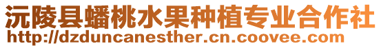 沅陵縣蟠桃水果種植專業合作社