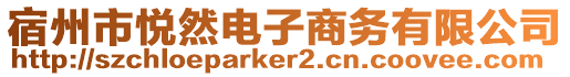 宿州市悅?cè)浑娮由虅?wù)有限公司