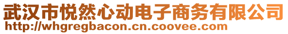 武漢市悅?cè)恍膭与娮由虅?wù)有限公司