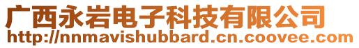 廣西永巖電子科技有限公司