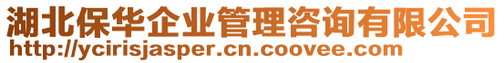 湖北保華企業(yè)管理咨詢(xún)有限公司