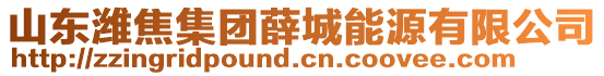 山東濰焦集團薛城能源有限公司