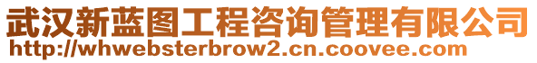 武漢新藍(lán)圖工程咨詢管理有限公司