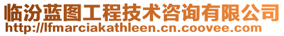 臨汾藍(lán)圖工程技術(shù)咨詢有限公司