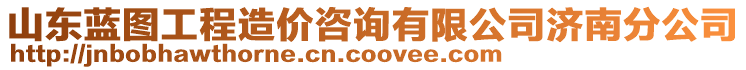 山東藍圖工程造價咨詢有限公司濟南分公司