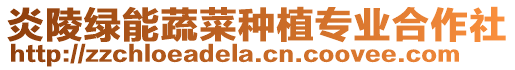 炎陵綠能蔬菜種植專業合作社