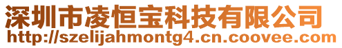 深圳市凌恒寶科技有限公司