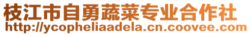 枝江市自勇蔬菜專業(yè)合作社