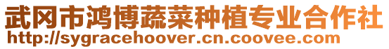 武岡市鴻博蔬菜種植專業(yè)合作社