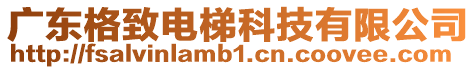 廣東格致電梯科技有限公司