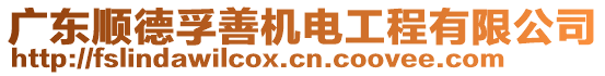 廣東順德孚善機(jī)電工程有限公司