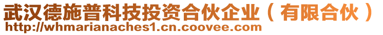 武漢德施普科技投資合伙企業(yè)（有限合伙）