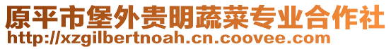 原平市堡外貴明蔬菜專業(yè)合作社