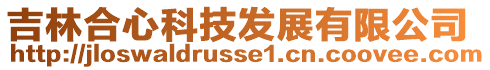 吉林合心科技發(fā)展有限公司