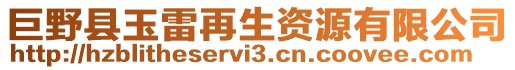 巨野縣玉雷再生資源有限公司