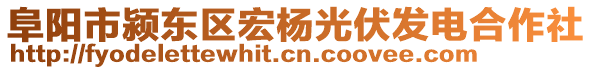 阜陽市潁東區(qū)宏楊光伏發(fā)電合作社