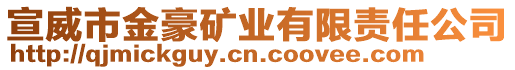 宣威市金豪礦業(yè)有限責(zé)任公司