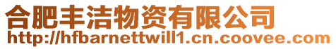合肥豐潔物資有限公司