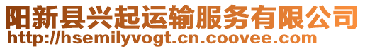 陽新縣興起運輸服務有限公司