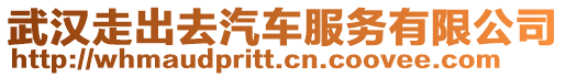 武漢走出去汽車服務有限公司