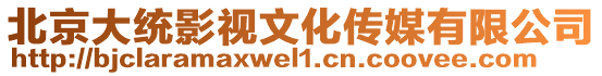 北京大統(tǒng)影視文化傳媒有限公司