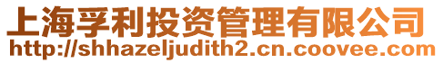 上海孚利投資管理有限公司