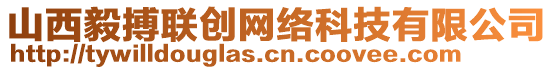 山西毅搏聯(lián)創(chuàng)網(wǎng)絡(luò)科技有限公司