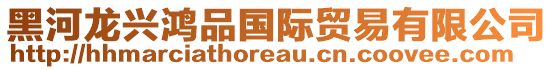 黑河龍興鴻品國際貿易有限公司