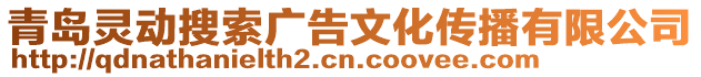 青島靈動搜索廣告文化傳播有限公司