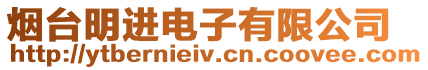 煙臺明進電子有限公司