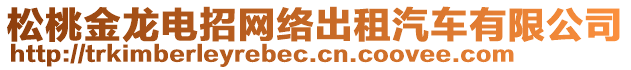 松桃金龍電招網絡出租汽車有限公司