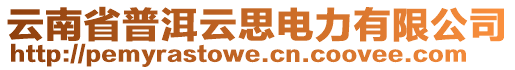 云南省普洱云思電力有限公司