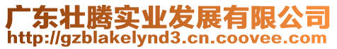 廣東壯騰實(shí)業(yè)發(fā)展有限公司