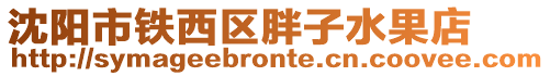 沈陽市鐵西區(qū)胖子水果店