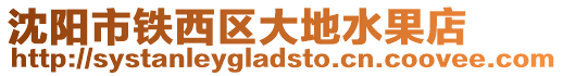 沈陽市鐵西區大地水果店
