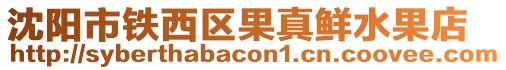 沈陽市鐵西區(qū)果真鮮水果店
