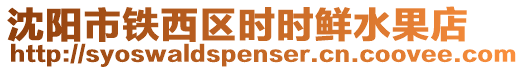 沈陽市鐵西區時時鮮水果店