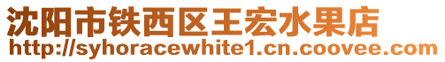 沈陽市鐵西區王宏水果店